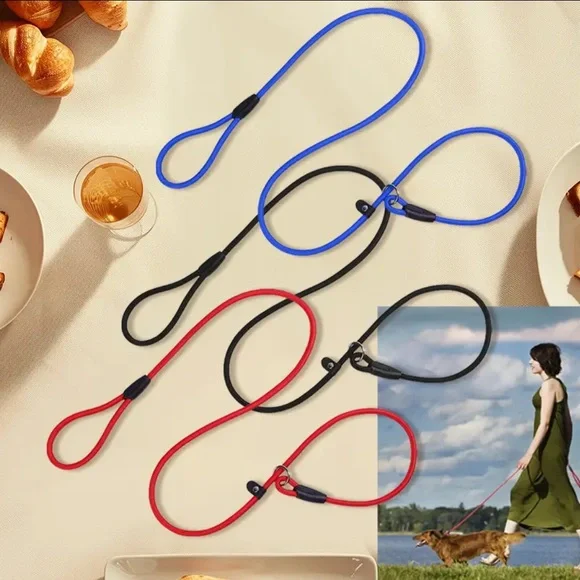 Dog Slip Nylon Leash 🪢 CHOOSE COLOR~ 5 Feet Long Black/Red/Blue - Picture 1 of 8